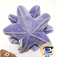 Officiële Pokemon center Pokemon fit knuffel Starmie 13cm